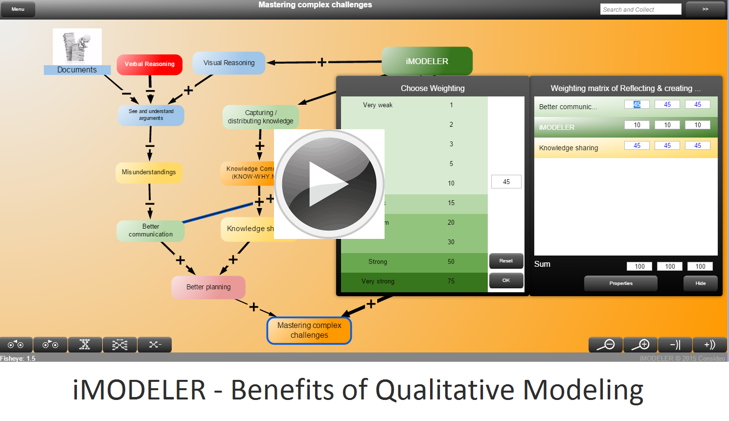 iMODELER - Benefits of Qualitative Modeling